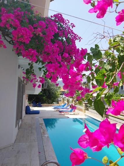 selenya apart Marmaris Bagian luar foto
